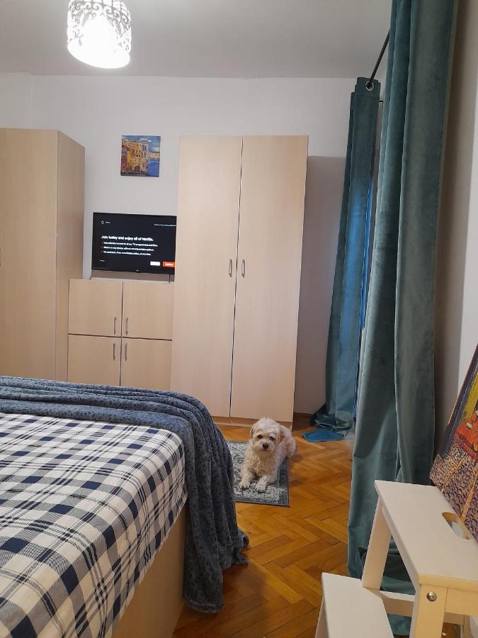 Appartement La Rossa à Braşov Extérieur photo